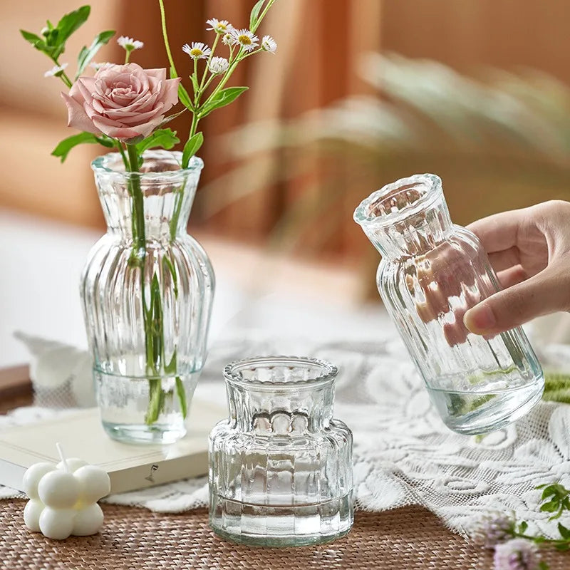 Vaso de vidro esculpido à mão - Plantador hidropônico para decoração de casa/escritório, mini presente
