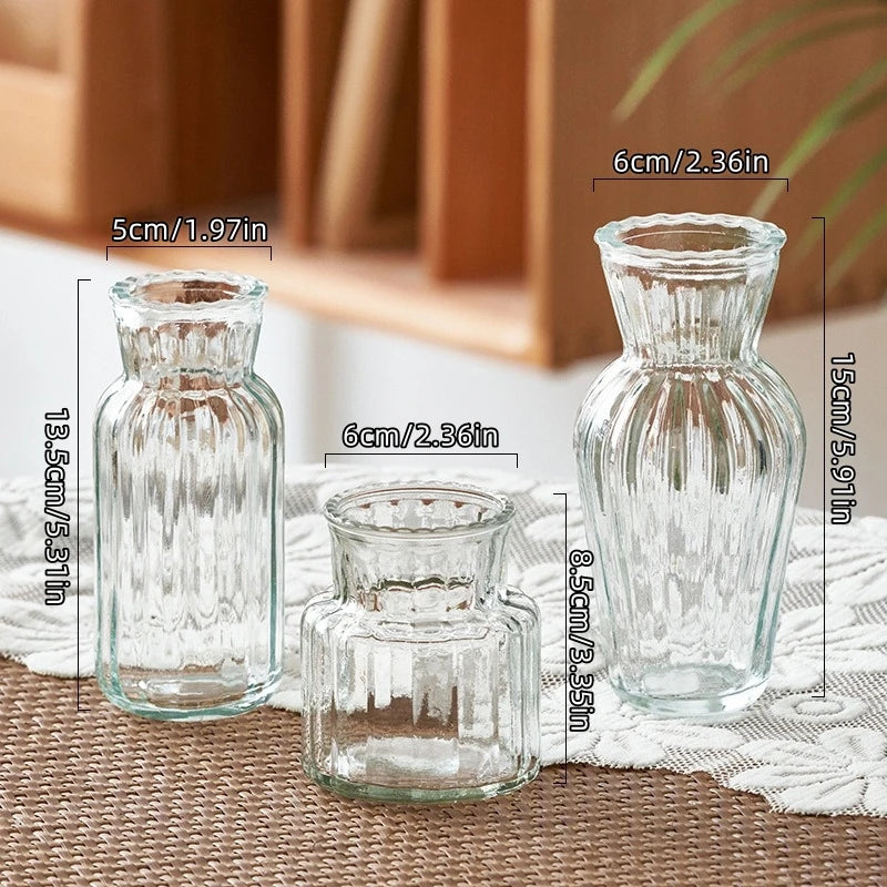 Vaso de vidro esculpido à mão - Plantador hidropônico para decoração de casa/escritório, mini presente