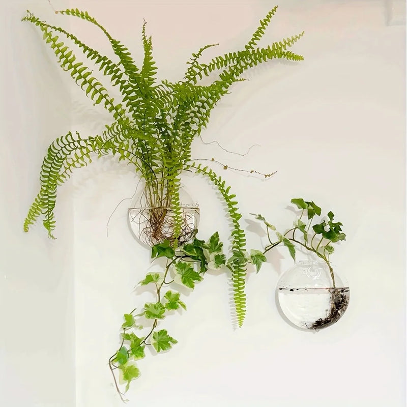 Pacote com 2/4/6 terrários de vidro para pendurar na parede - hidropônico para decoração de casa redondo feito à mão